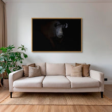 Charger l&#39;image dans la galerie, Rhinocéros noir dans le noir de la nuit
