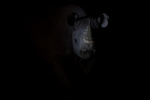 Charger l&#39;image dans la galerie, Rhinocéros noir dans le noir de la nuit
