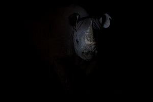 Rhinocéros noir dans le noir de la nuit