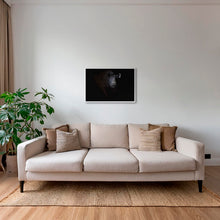 Charger l&#39;image dans la galerie, Rhinocéros noir dans le noir de la nuit
