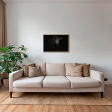 Charger l&#39;image dans la galerie, Rhinocéros noir dans le noir de la nuit
