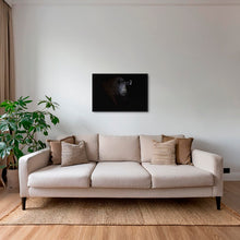 Charger l&#39;image dans la galerie, Rhinocéros noir dans le noir de la nuit
