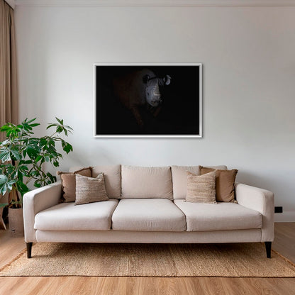 Rhinocéros noir dans le noir de la nuit