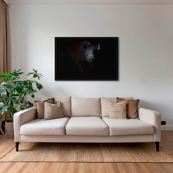 Rhinocéros noir dans le noir de la nuit
