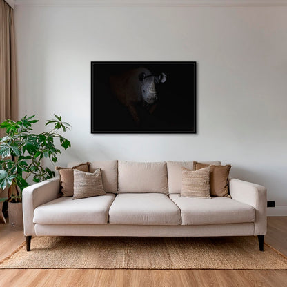 Rhinocéros noir dans le noir de la nuit