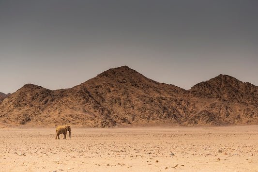 Seul sur Mars