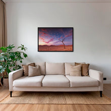 Charger l&#39;image dans la galerie, Dernières lueurs dans le désert
