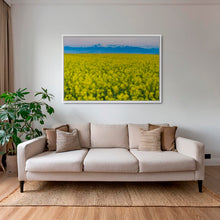 Charger l&#39;image dans la galerie, Les Mythiques
