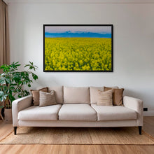 Charger l&#39;image dans la galerie, Les Mythiques
