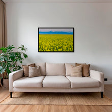 Charger l&#39;image dans la galerie, Les Mythiques
