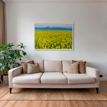 Charger l&#39;image dans la galerie, Les Mythiques
