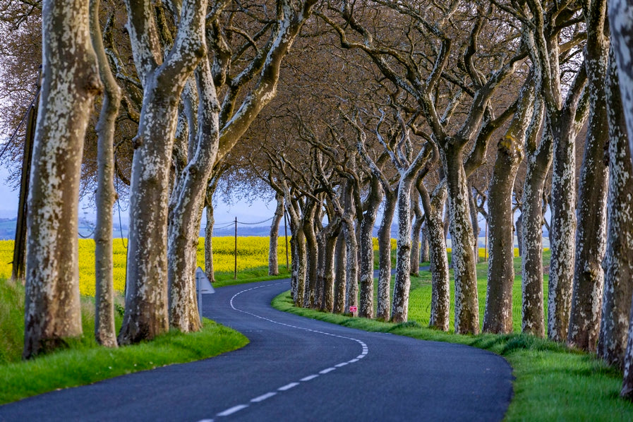 Route de Haute-Garonne