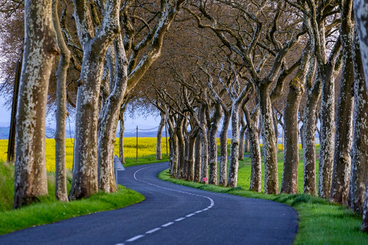 Route de Haute-Garonne