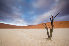 Charger l&#39;image dans la galerie, Argile sous les nuages
