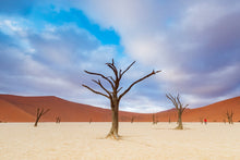 Charger l&#39;image dans la galerie, Argile sous les nuages 2
