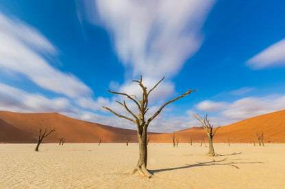 Le temps qui passe