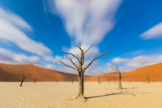 Le temps qui passe