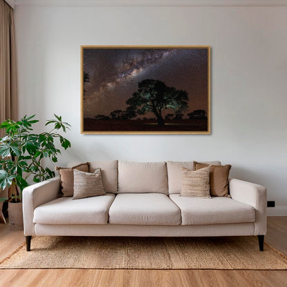 Acacia Erioloba sous les étoiles