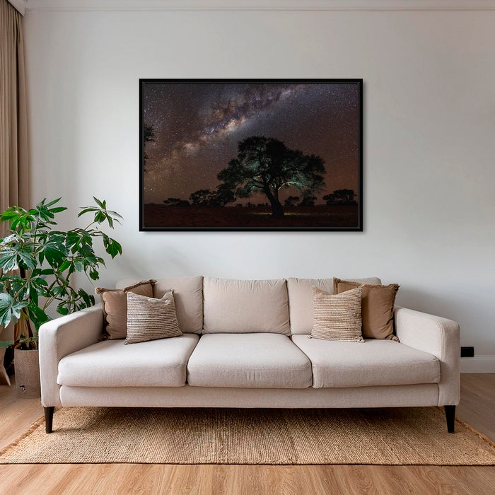 Acacia Erioloba sous les étoiles