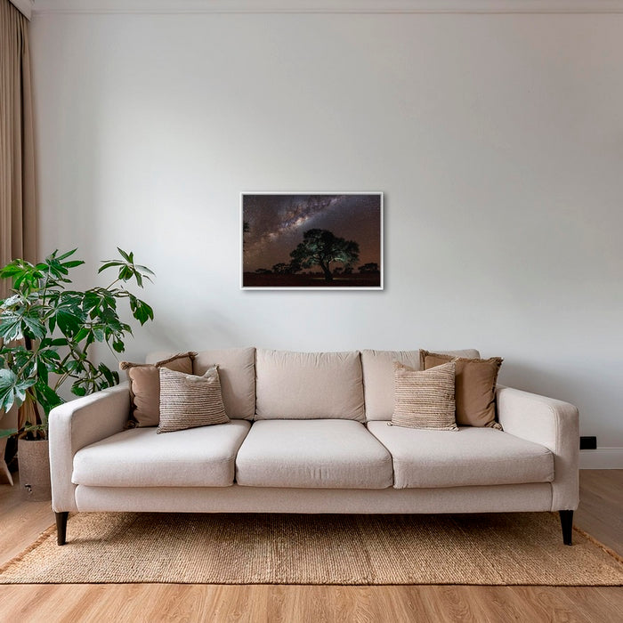 Acacia Erioloba sous les étoiles