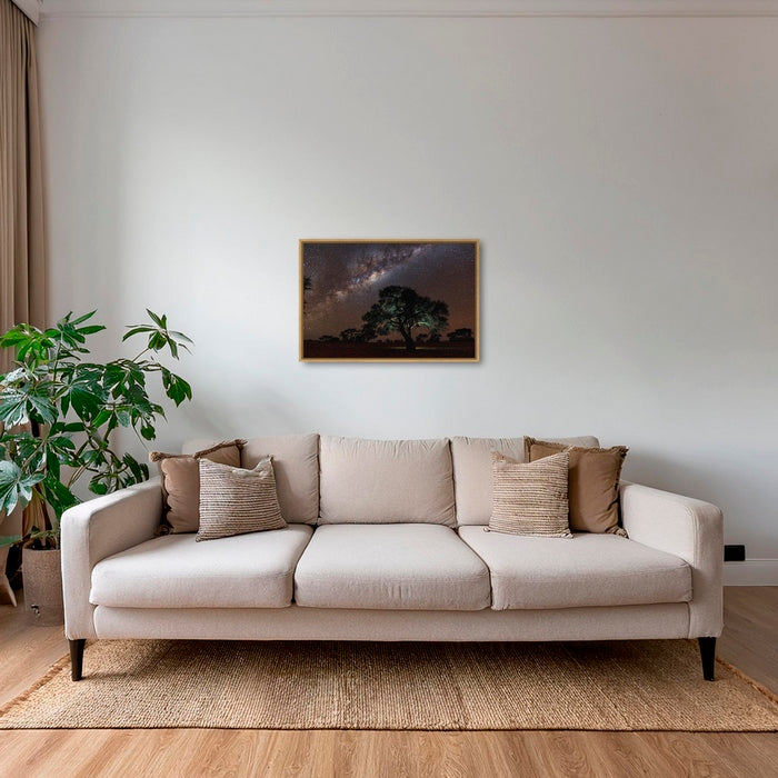 Acacia Erioloba sous les étoiles