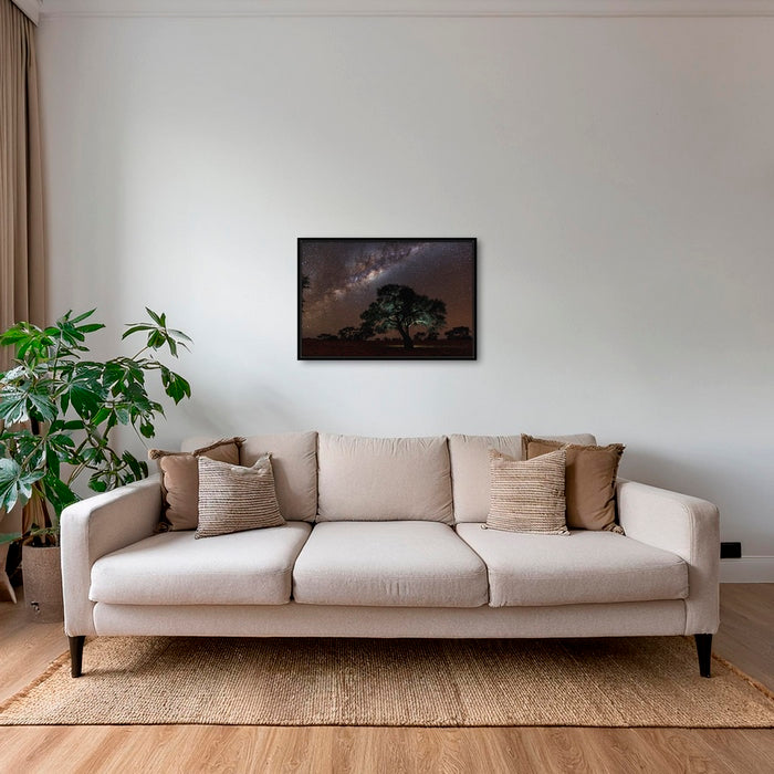 Acacia Erioloba sous les étoiles