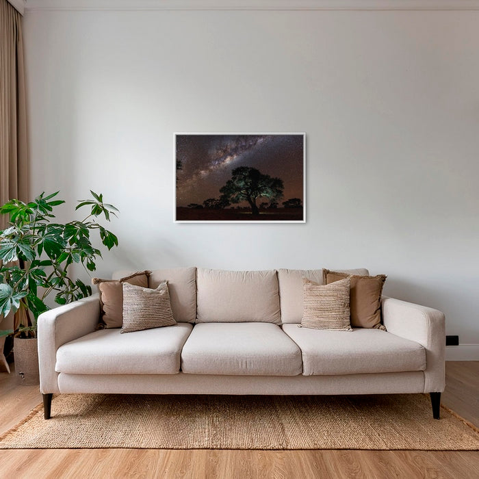 Acacia Erioloba sous les étoiles