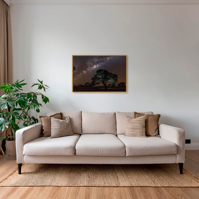 Acacia Erioloba sous les étoiles