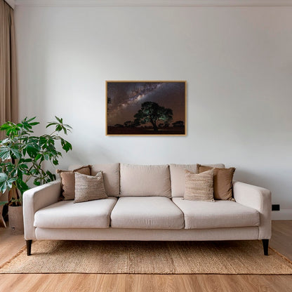 Acacia Erioloba sous les étoiles