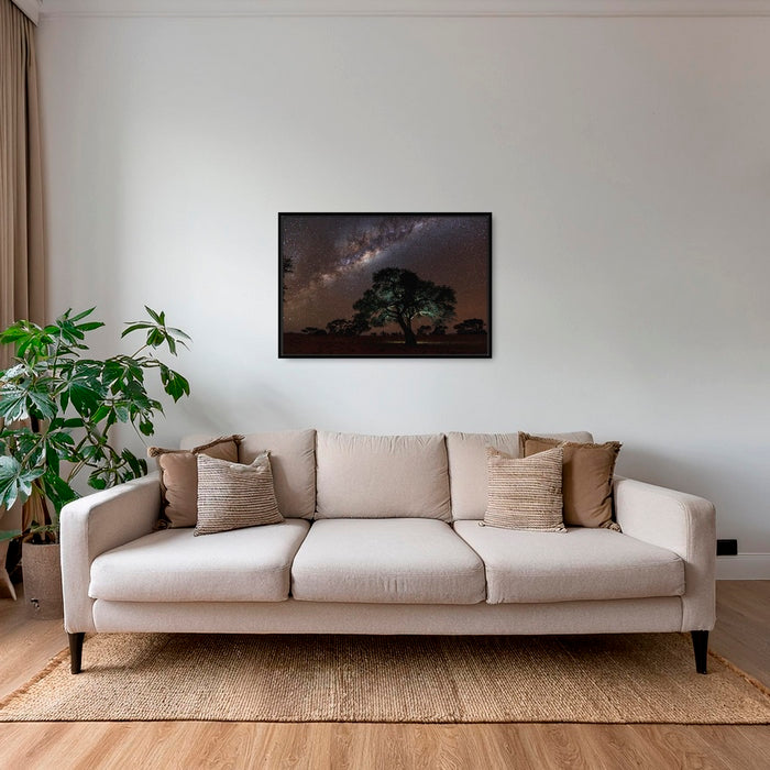 Acacia Erioloba sous les étoiles