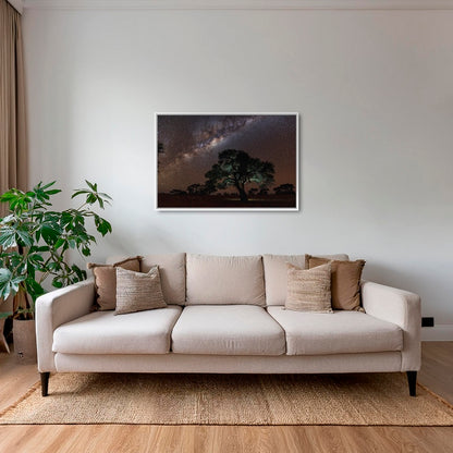 Acacia Erioloba sous les étoiles