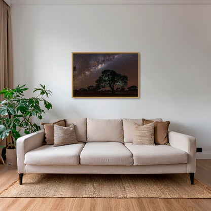 Acacia Erioloba sous les étoiles