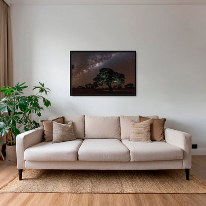 Acacia Erioloba sous les étoiles