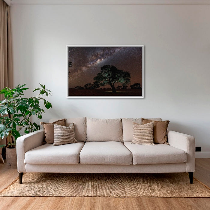 Acacia Erioloba sous les étoiles