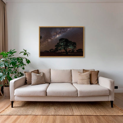 Acacia Erioloba sous les étoiles