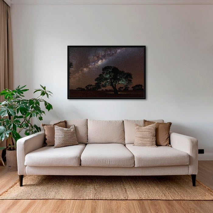 Acacia Erioloba sous les étoiles