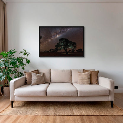 Acacia Erioloba sous les étoiles