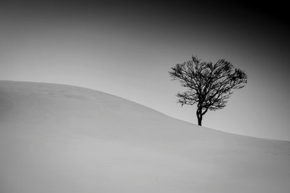 Sur la courbe 2