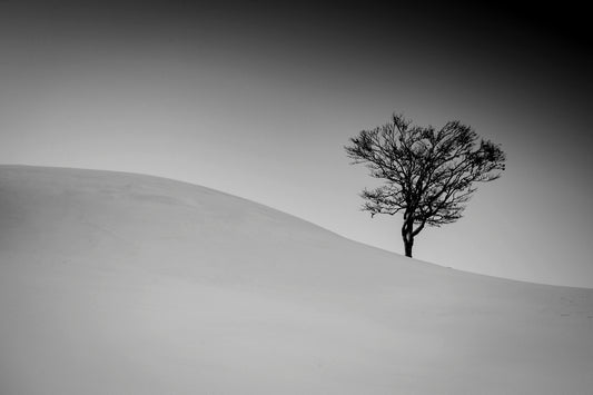 Sur la courbe 2