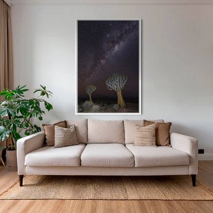 Dicotoma sous les étoiles