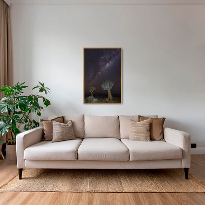Dicotoma sous les étoiles