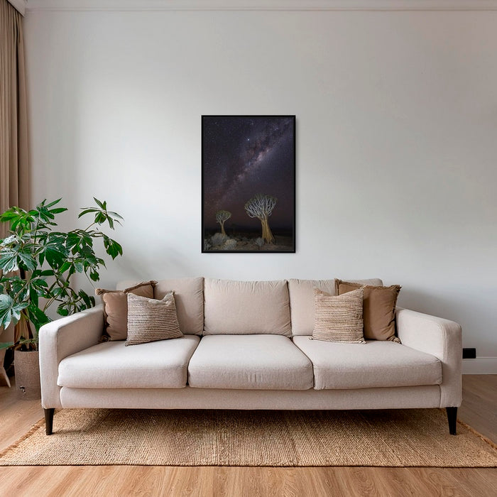 Dicotoma sous les étoiles