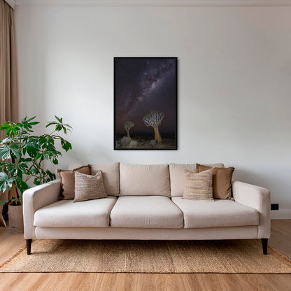 Dicotoma sous les étoiles