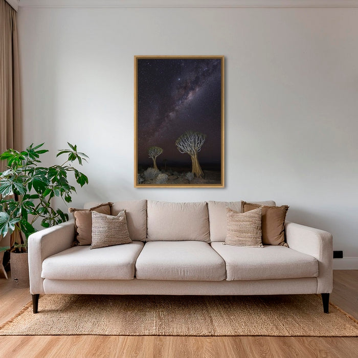 Dicotoma sous les étoiles