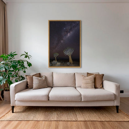 Dicotoma sous les étoiles