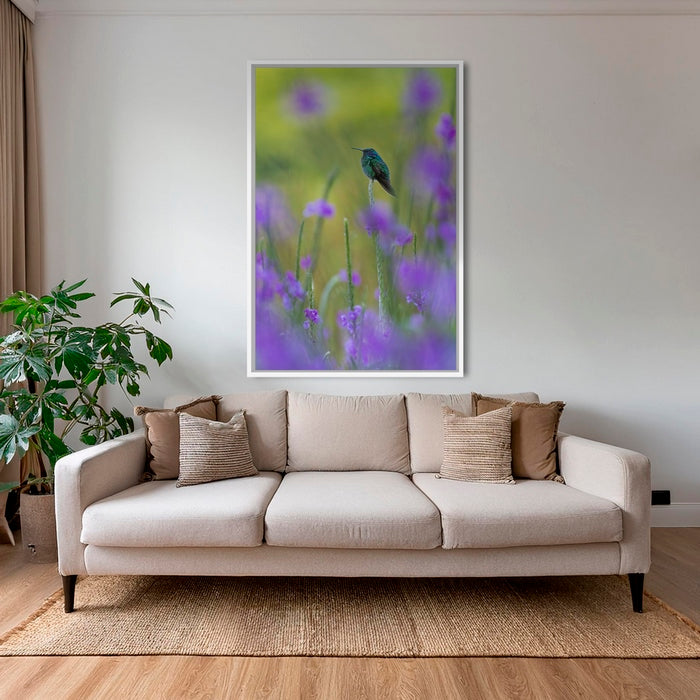 Colibri en peinture