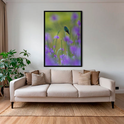 Colibri en peinture