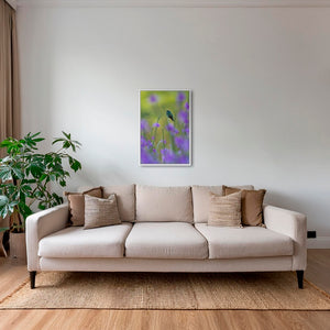 Colibri en peinture