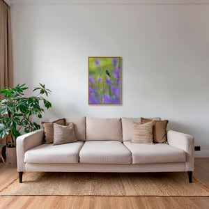 Colibri en peinture