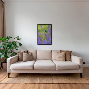 Colibri en peinture